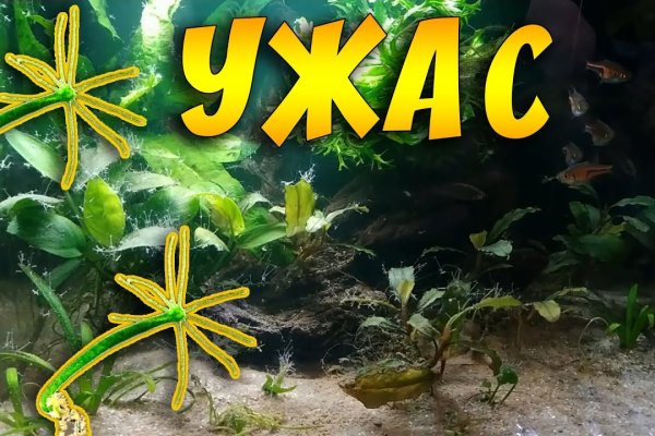 Ссылка на сайт кракен в тор браузере