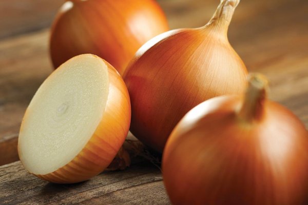 Кракен сайт официальный onion