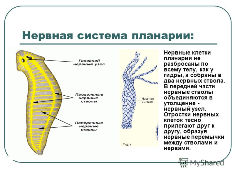 Кракен вход официальный сайт