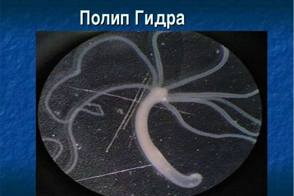 Войти на кракен