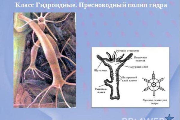 Сайт krn