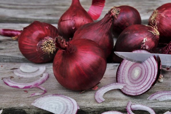 Кракен зеркало onion