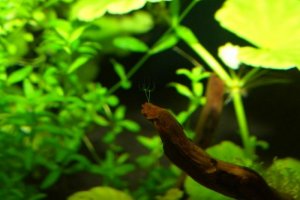 Kraken ссылка актуальная